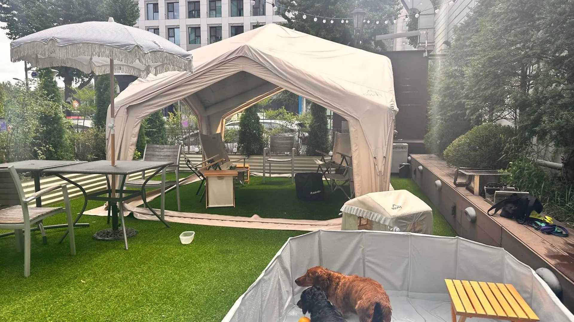 Acube Hotel Dongdaemun Сеул